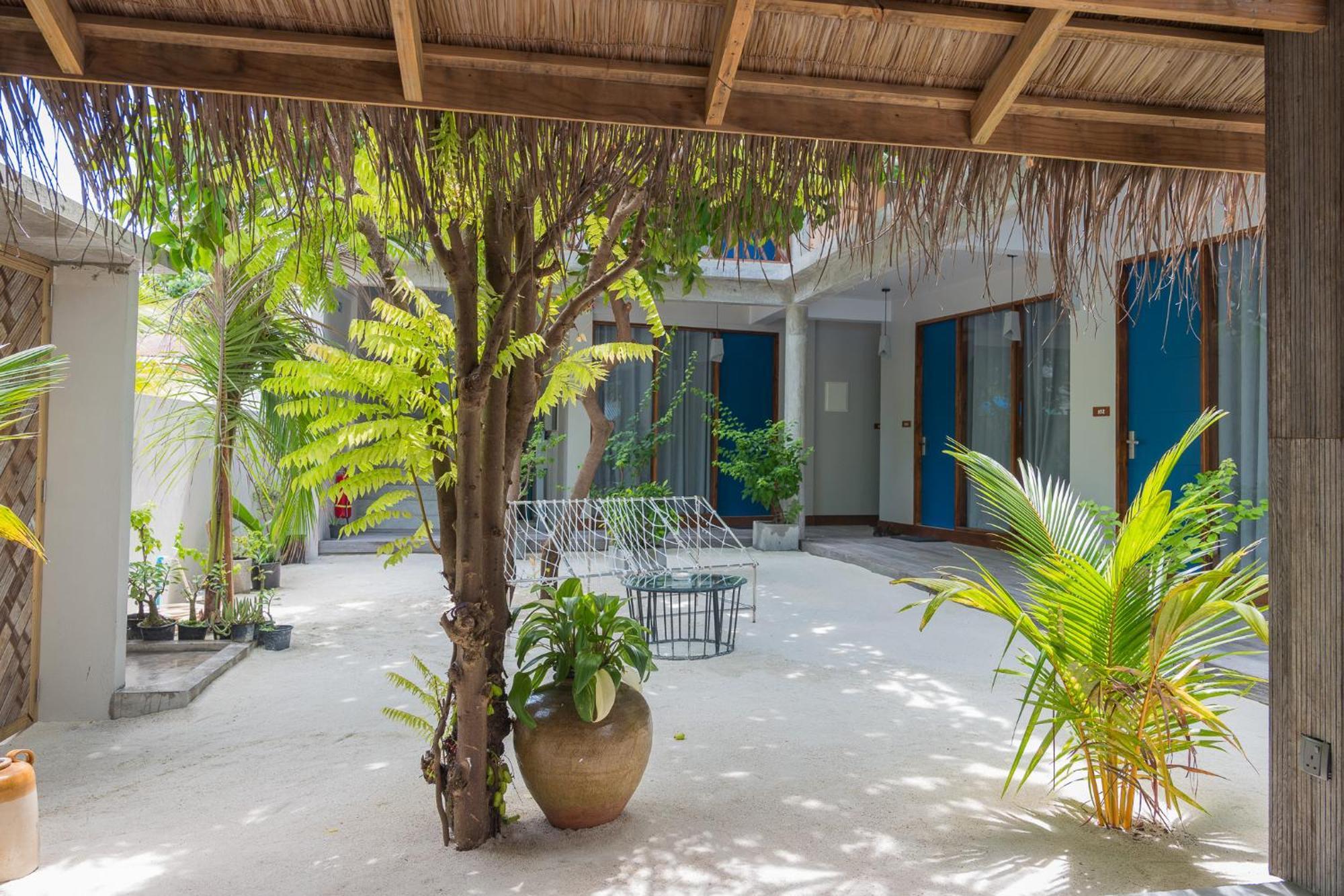 The Palm Ray Rasdhoo Bed & Breakfast Dış mekan fotoğraf